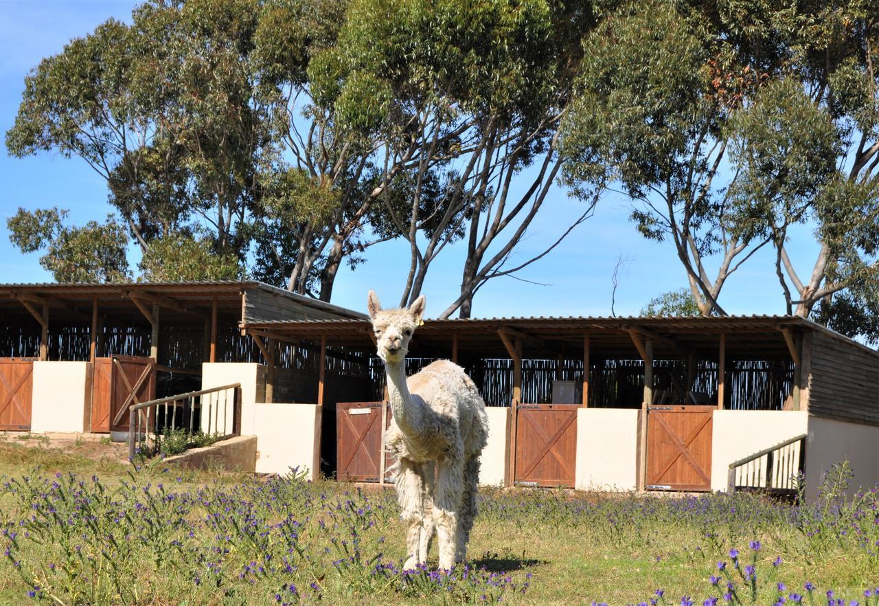 Anna Beulah Farm Durbanville Exterior foto